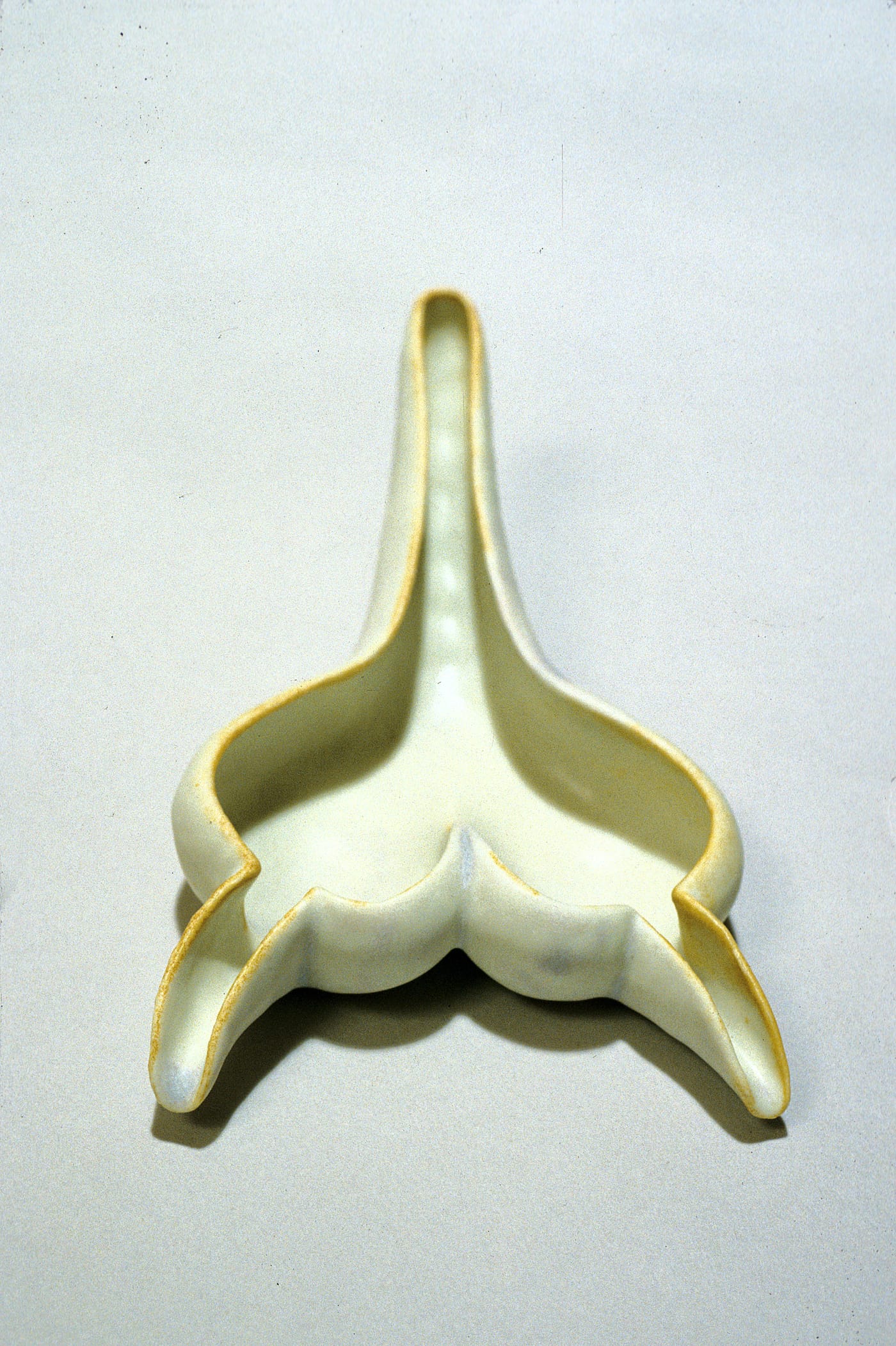 Kim Dickey, "Lady J (Cornea #2)" (1996), porcelain, 2 1/4 x 6 1/2 in (photo courtesy the artist)