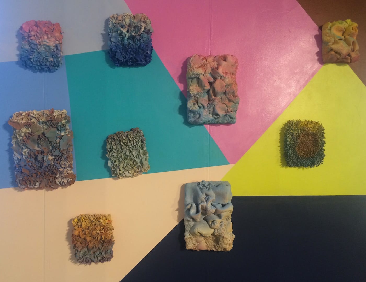 Morel Doucet, works from the <em>Follicles | Cells | Biota</em> series (2016)