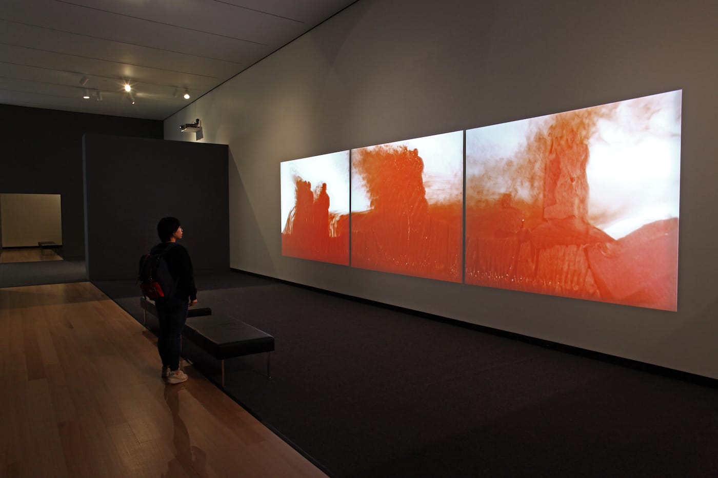 Installation view of Senses of Time: Video and Film-Based Works of Africa at the Ruth and Elmer Wellin Museum of Art, featuring Berni Searle video (courtesy of the Ruth and Elmer Wellin Museum of Art)
