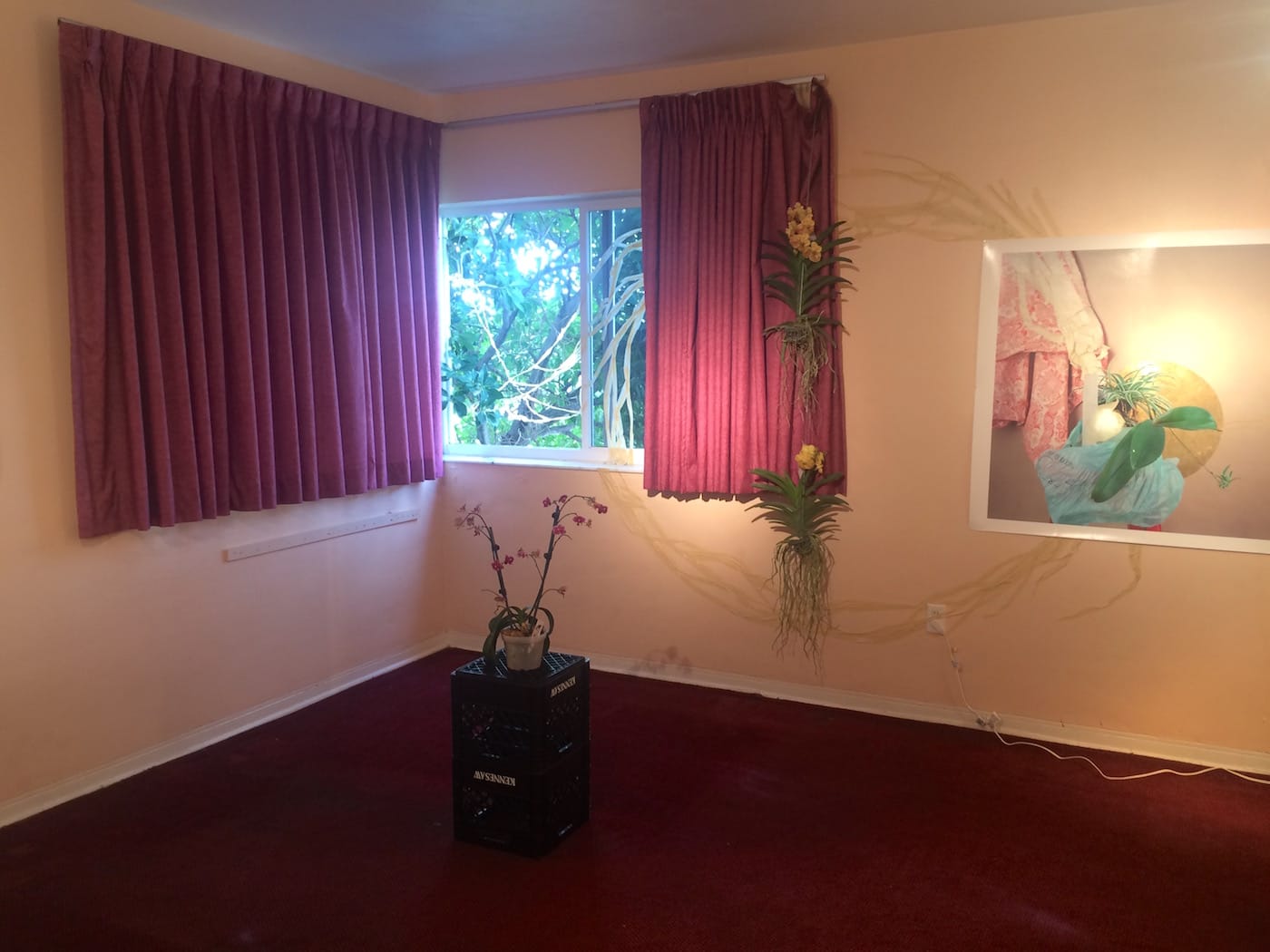 whit-forrester-at-cc-mckee2