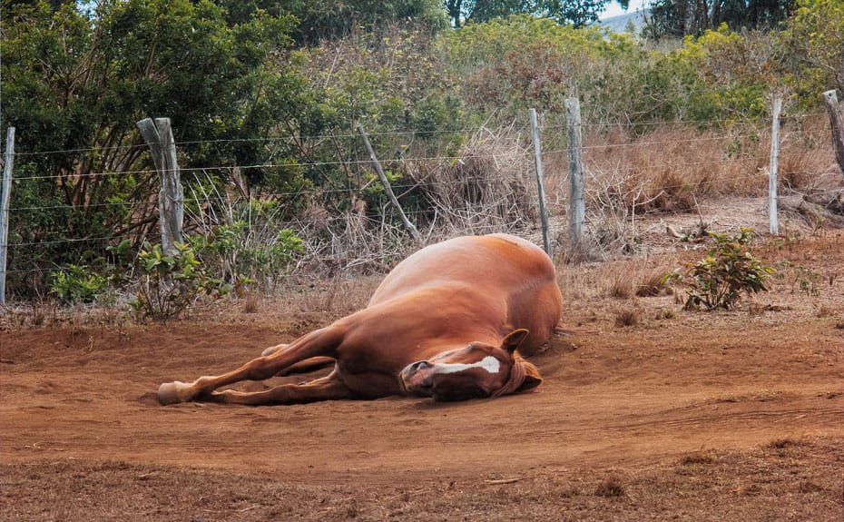 LA Artists Raised $100K for the ACLU — Now What?