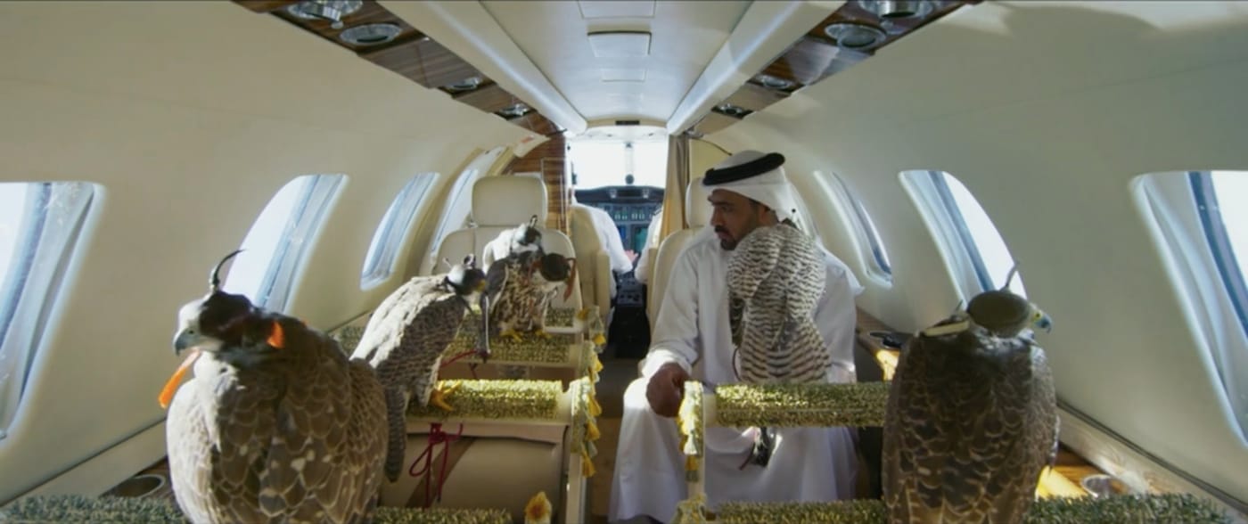 Still from <em/>The Challenge (2016), directed by Yuri Ancarani