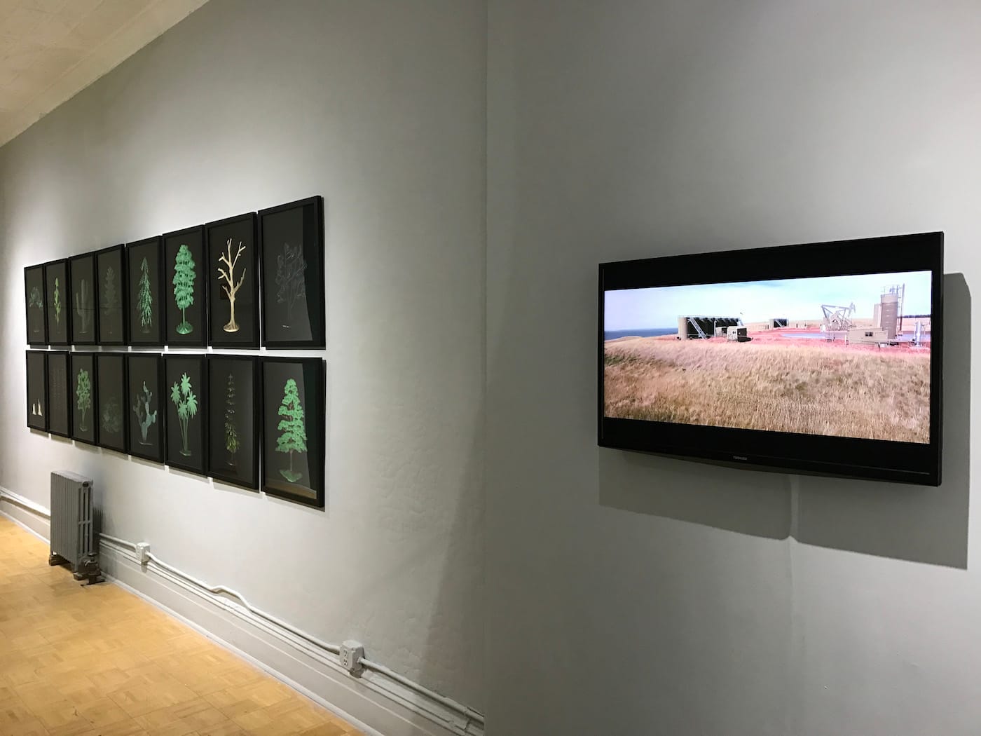 Installation view of My Country Tis of Thy People, You’re Dying at Radiator Arts