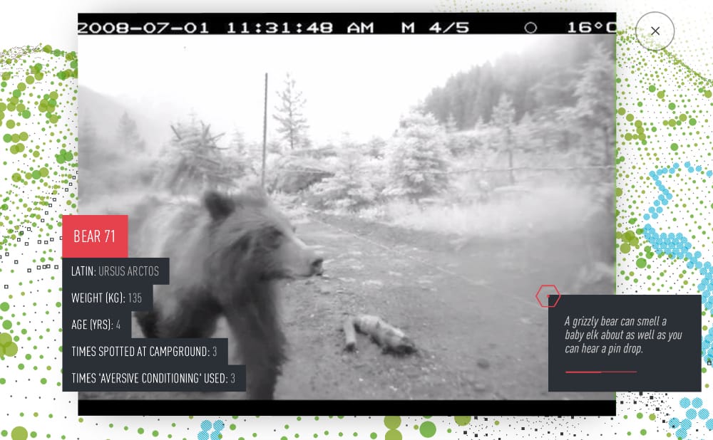 A VR Documentary on Animal Surveillance Tracks a Grizzly’s Life