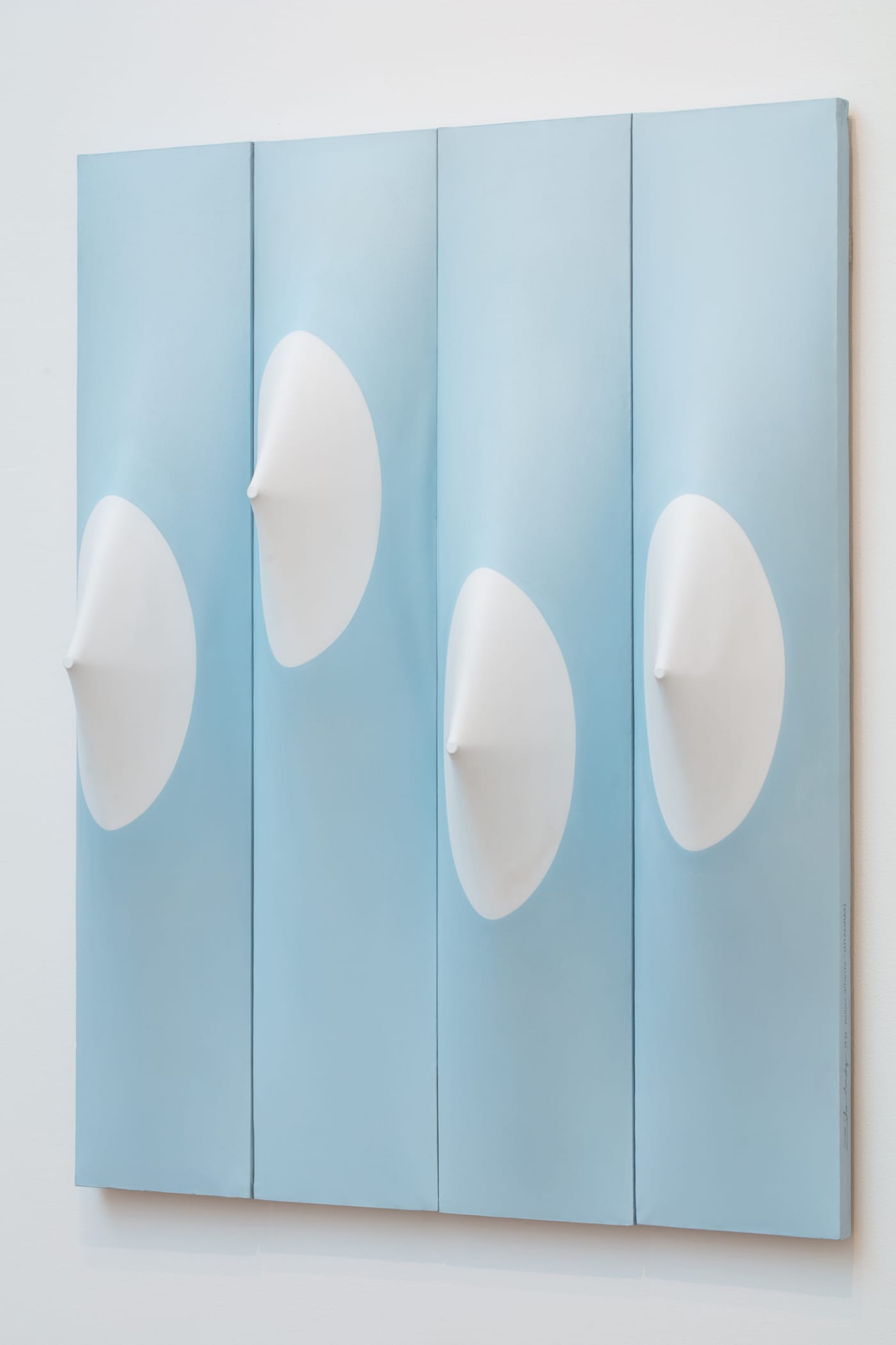 Zilia Sánchez, "Amazonas" (1993)