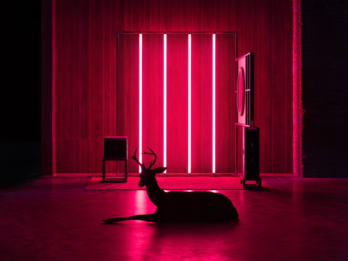 Installation view of <em/>Grand Ole Opera: Stewart & Stewart, curated by Gabriel Florenz, at Pioneer Works (photo © Dan Bradica)