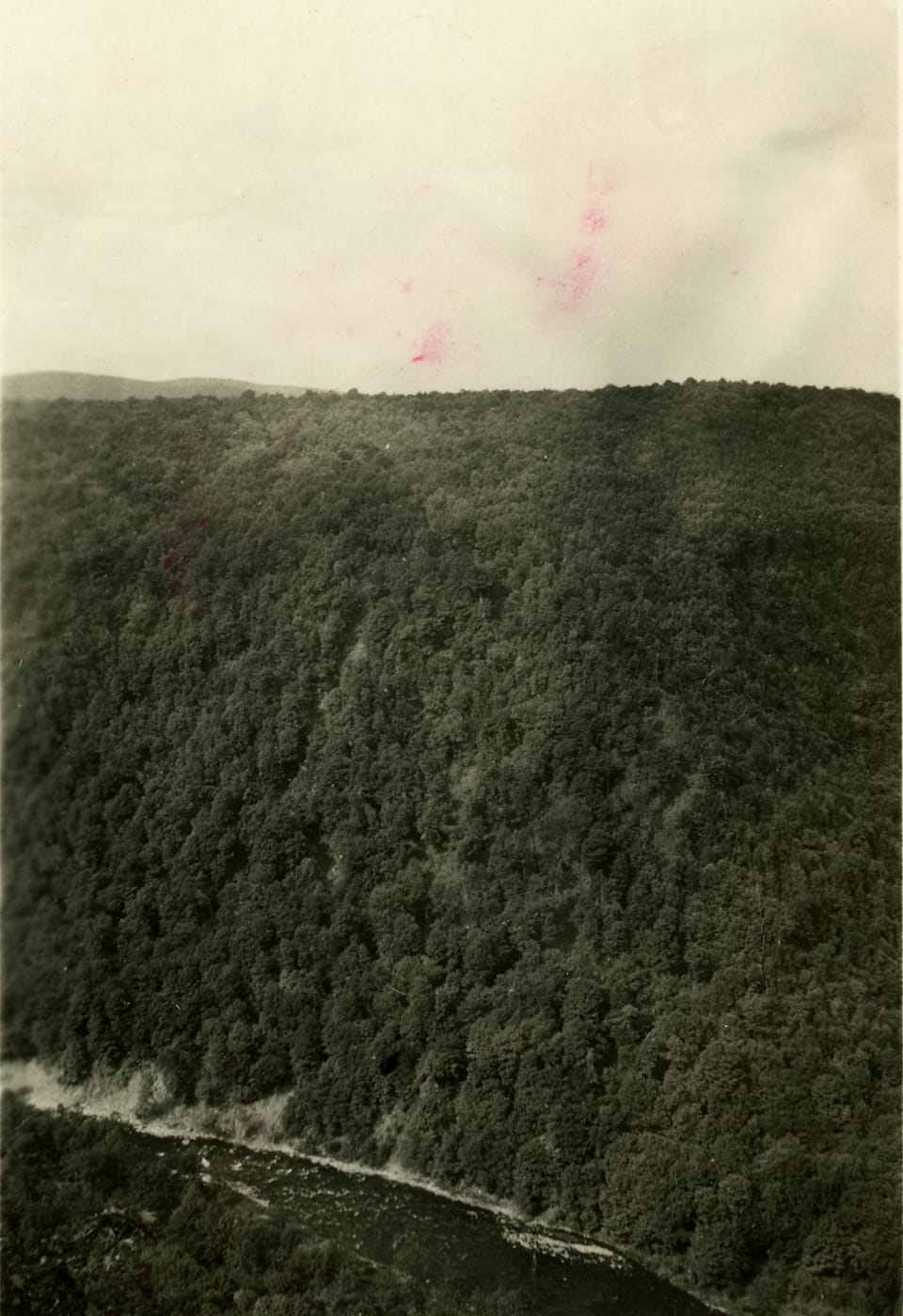 John Stoney, "Perspectives on Landscape Photography: Green" (2017), pigment print on cotton rag paper, edition of 3, 29 1/2 x 43 in