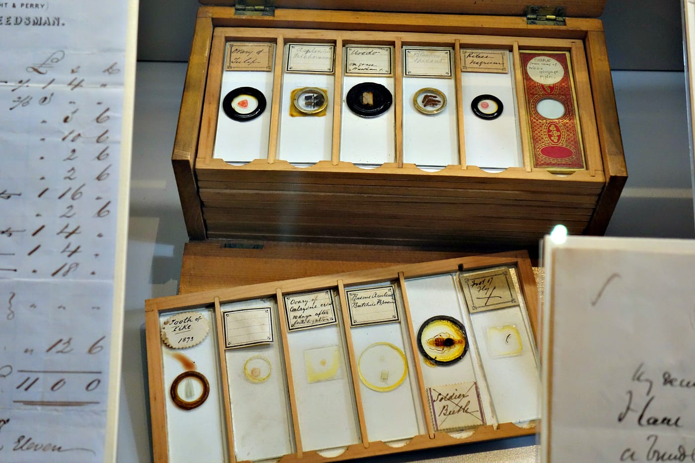 Installation view of the Garden Museum in London