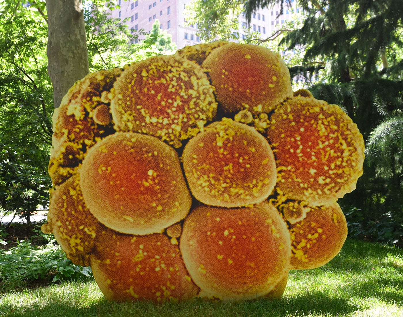 Katja Novitskova, "Earth Potential (Embryo)" (2017), digital print on aluminum, cut out display, steel and aluminum armature