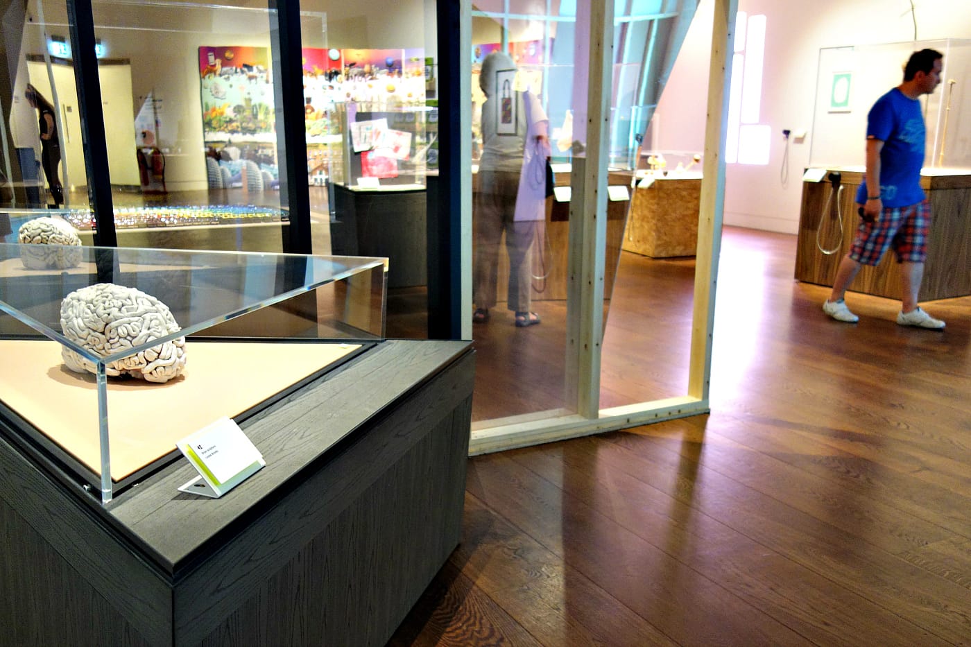 Installation view of <em>A Museum of Modern Nature</em> at the Wellcome Collection in London (photo by the author for Hyperallergic)