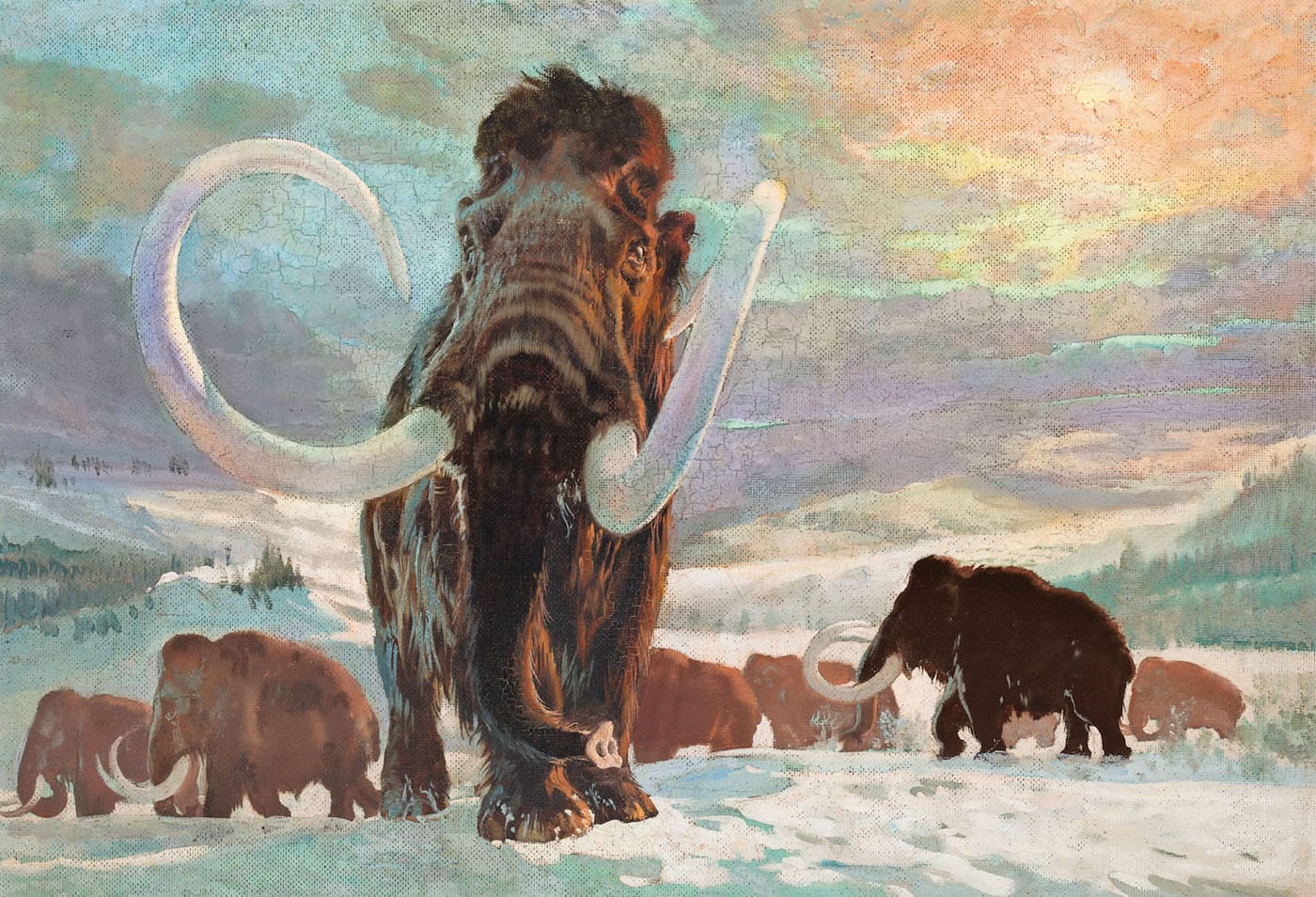 Paleoart: Visions of the Prehistoric Past, 1830-1980
