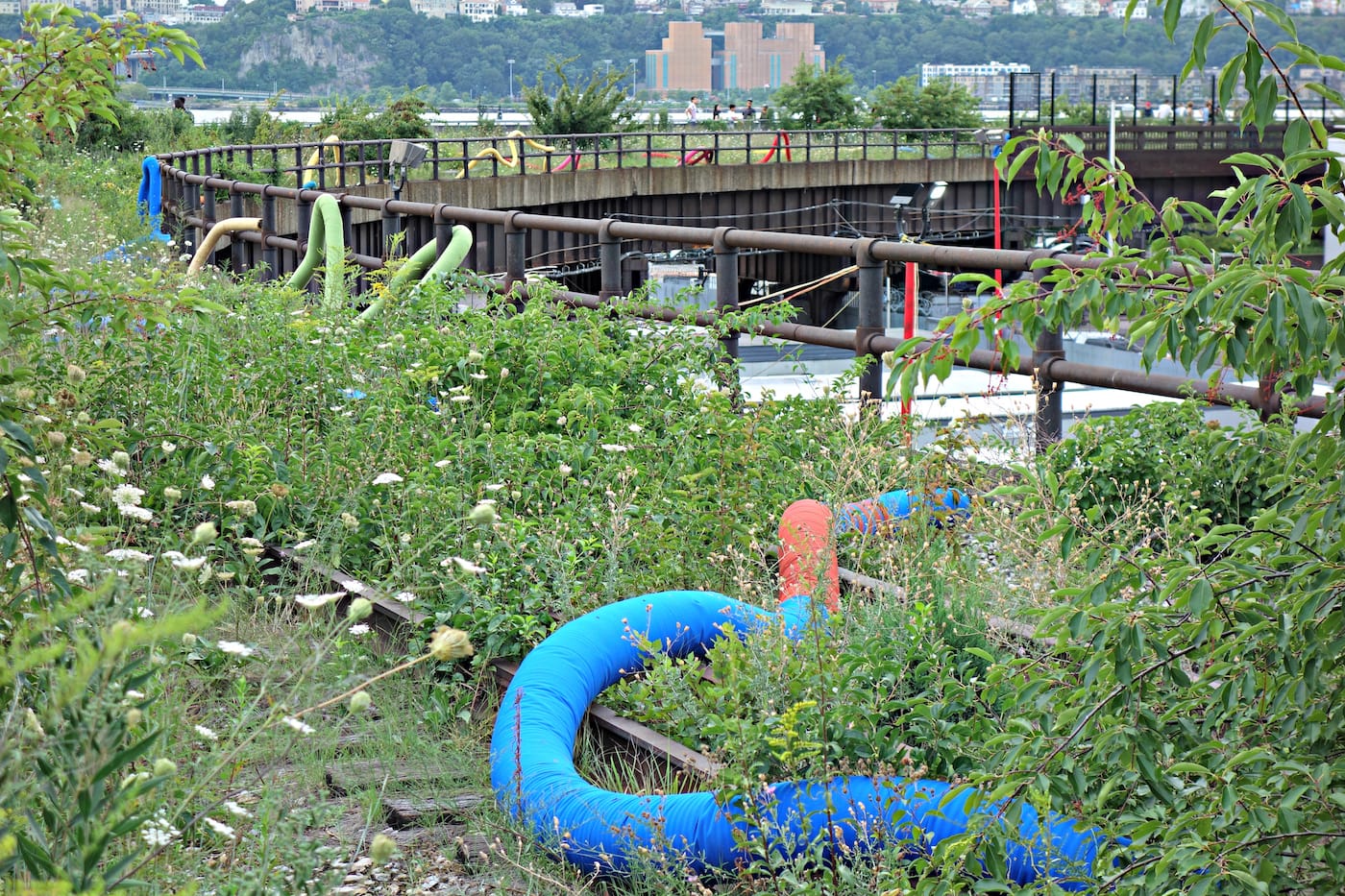 Installation view of <em>Mutations</em> on the High Line in New York