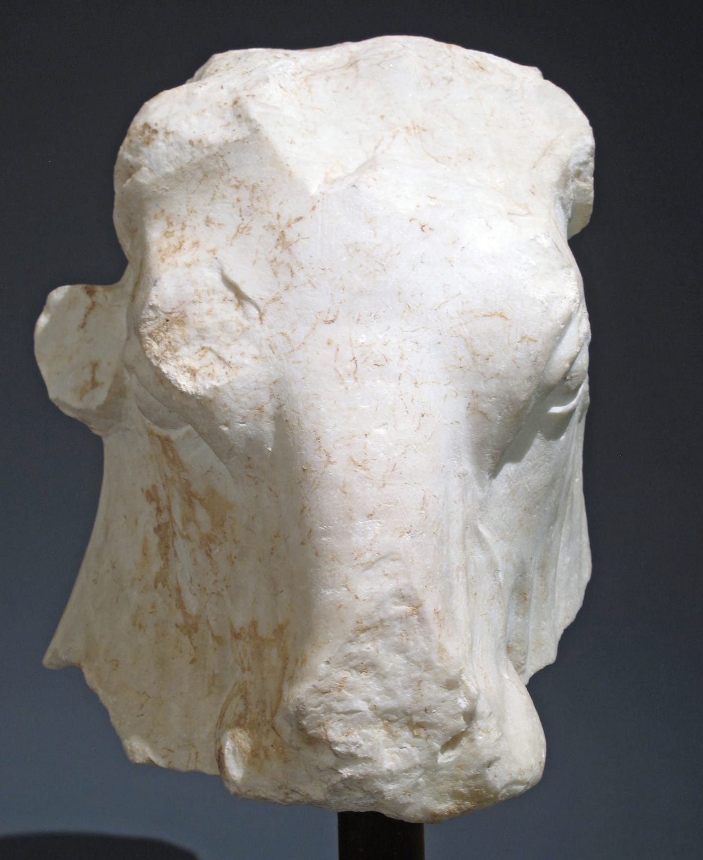 Marble Head of a Bull (ca 500-460 BCE), Greek, height:13 in (image courtesy the Metropolitan Museum of Art, New York)
