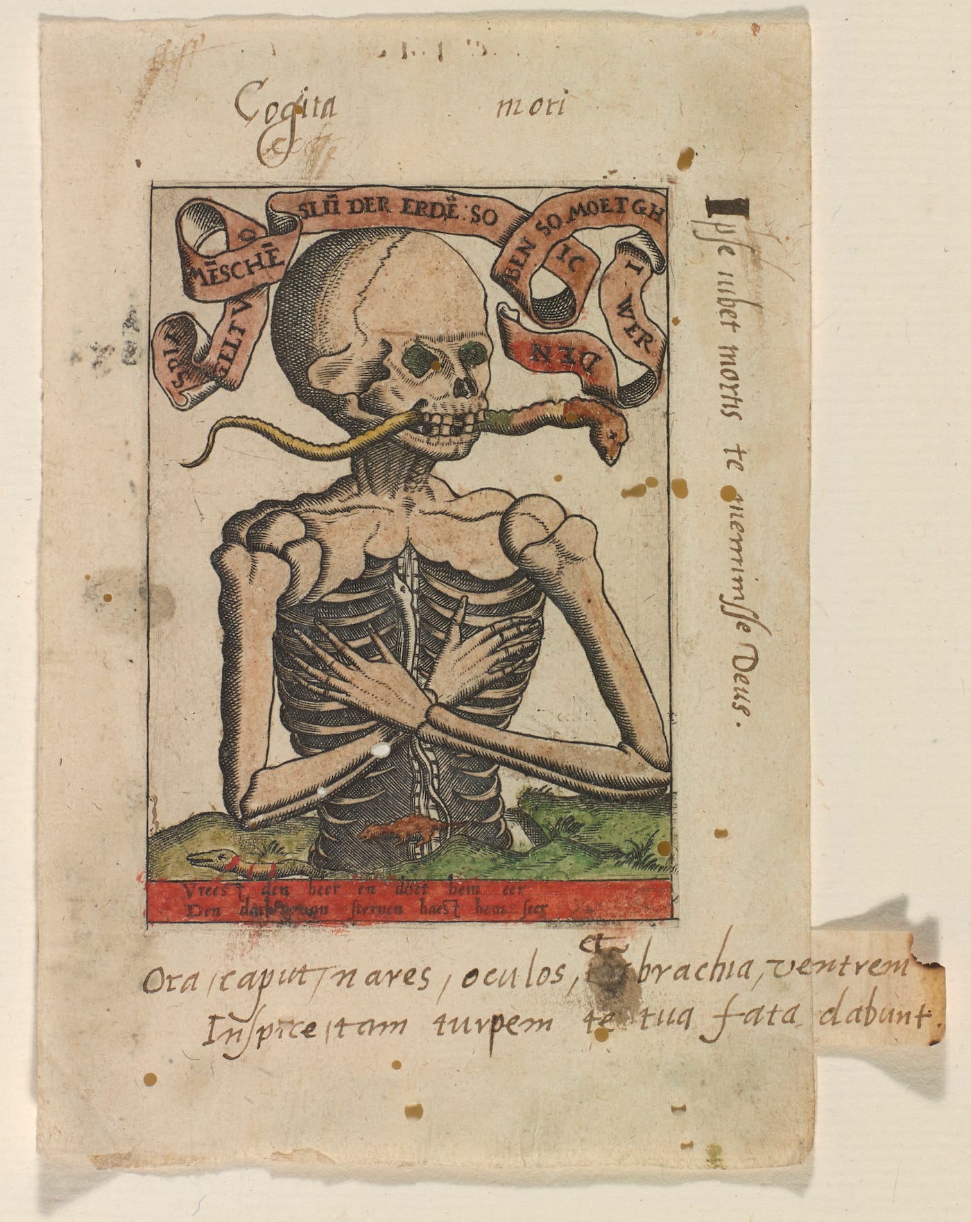 Master S (Alexander van Brugsal?), Memento Mori (Netherlandish, 1520), engraving, with contemporary hand coloring (Gift of Linda and David Roth in memory of David P. Becker and Museum Purchase, Lloyd O. and Marjorie Strong Coulter Fund, courtesy Bowdoin College Museum of Art)