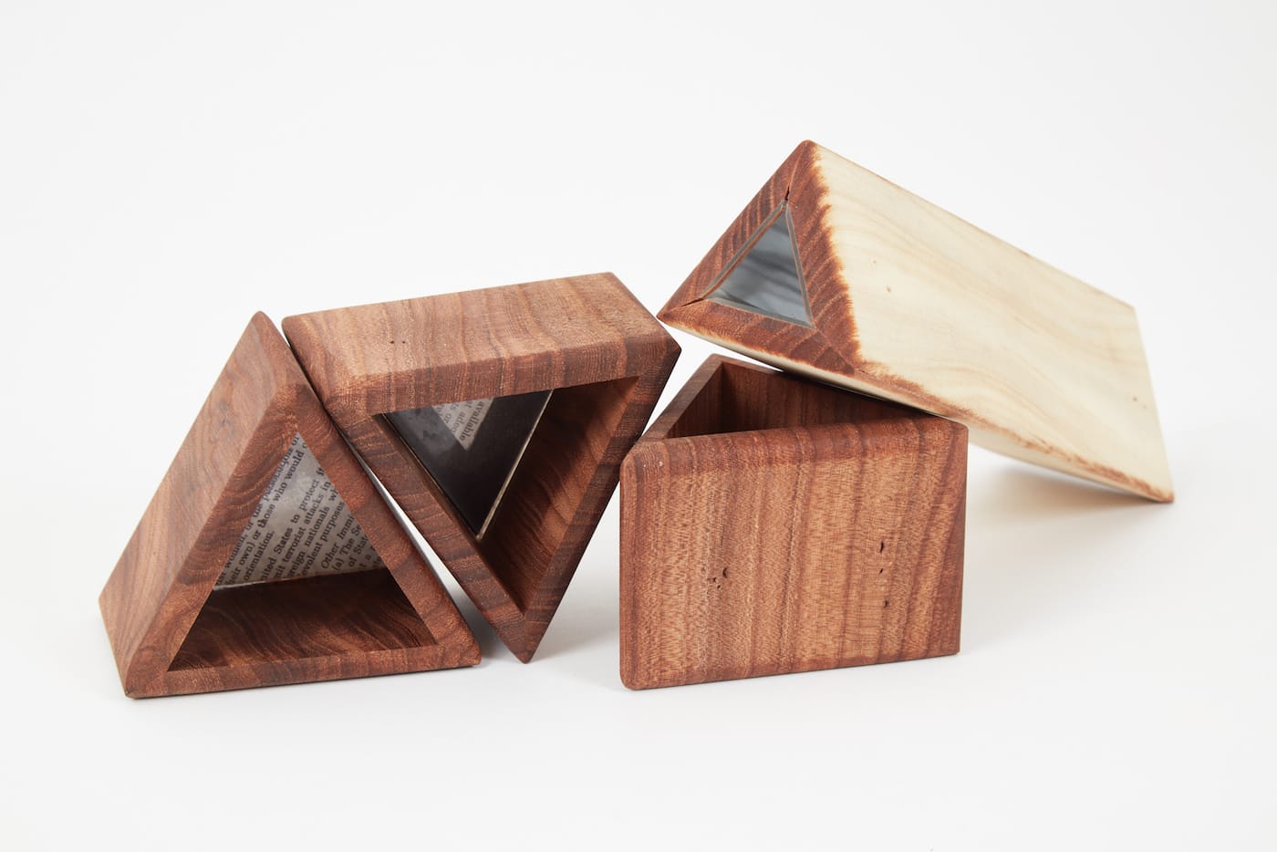 Witness Tree Project