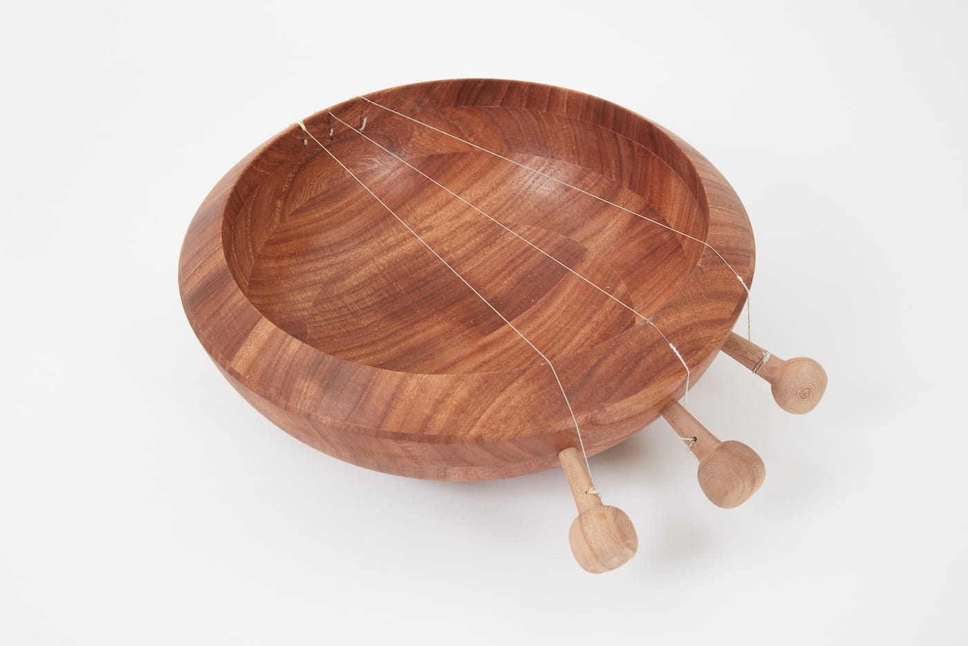 Witness Tree Project