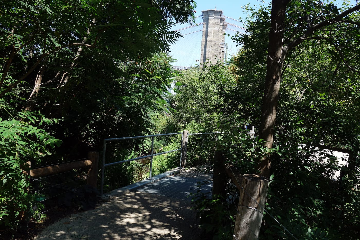Brooklyn Bridge Park (photo by the author for Hyperallergic)