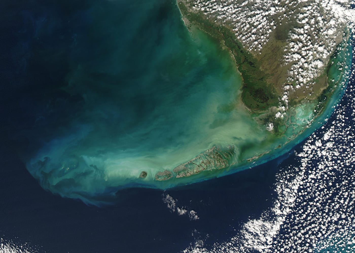 Satellite view of the Florida Keys (via NASA/Wikimedia)