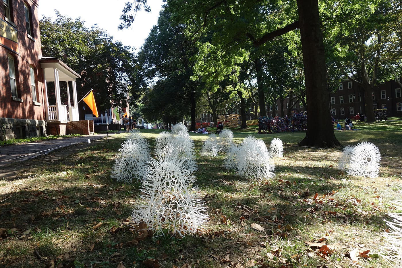 Sui Park, "Sprout Island" (2017), cable ties, steel pegs