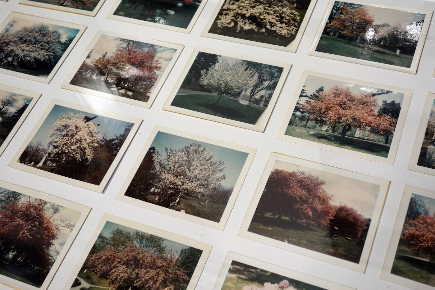 Installation view of <em>Matthew Jensen: Among Trees and Stones</em> at Green-Wood Cemetery 