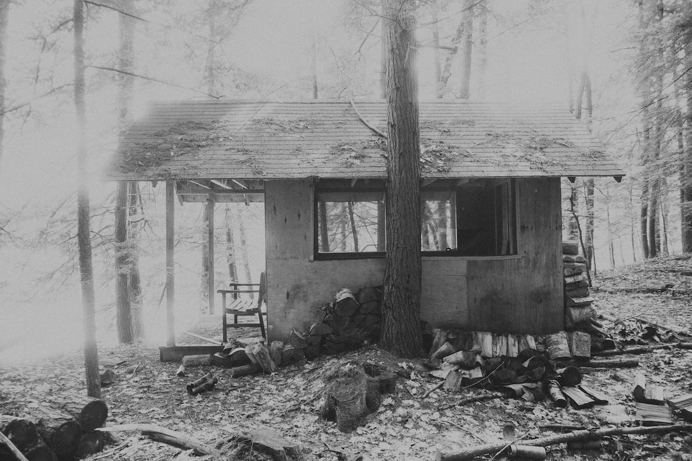 The Disappearance of Joseph Plummer