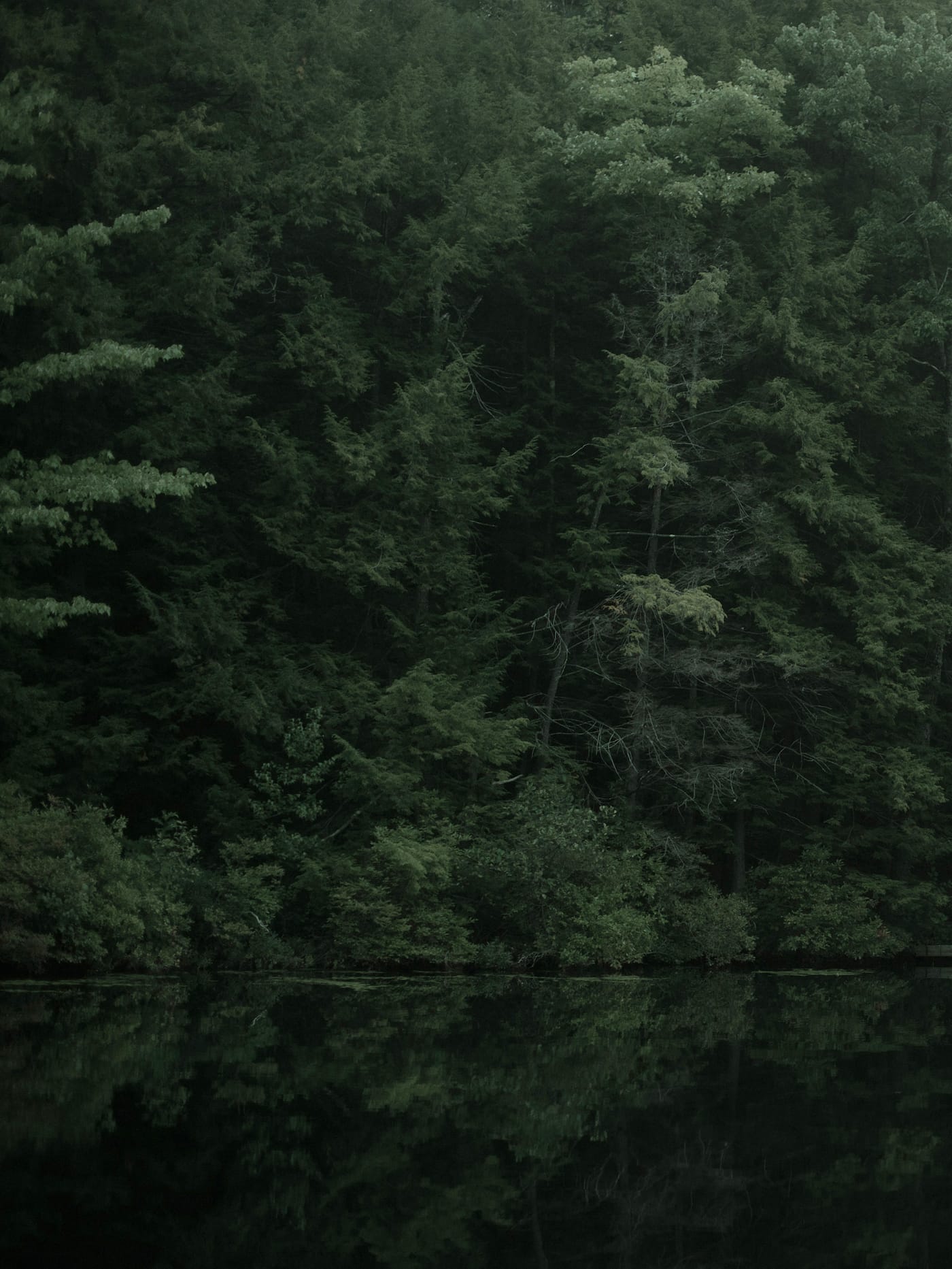 The Disappearance of Joseph Plummer