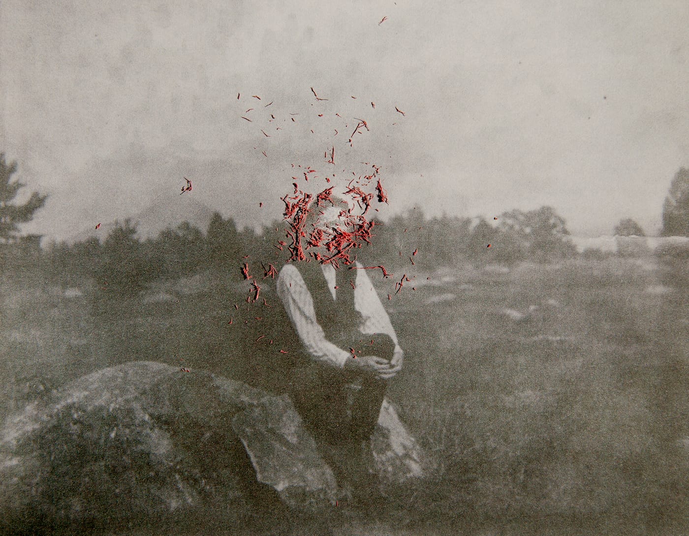 The Disappearance of Joseph Plummer