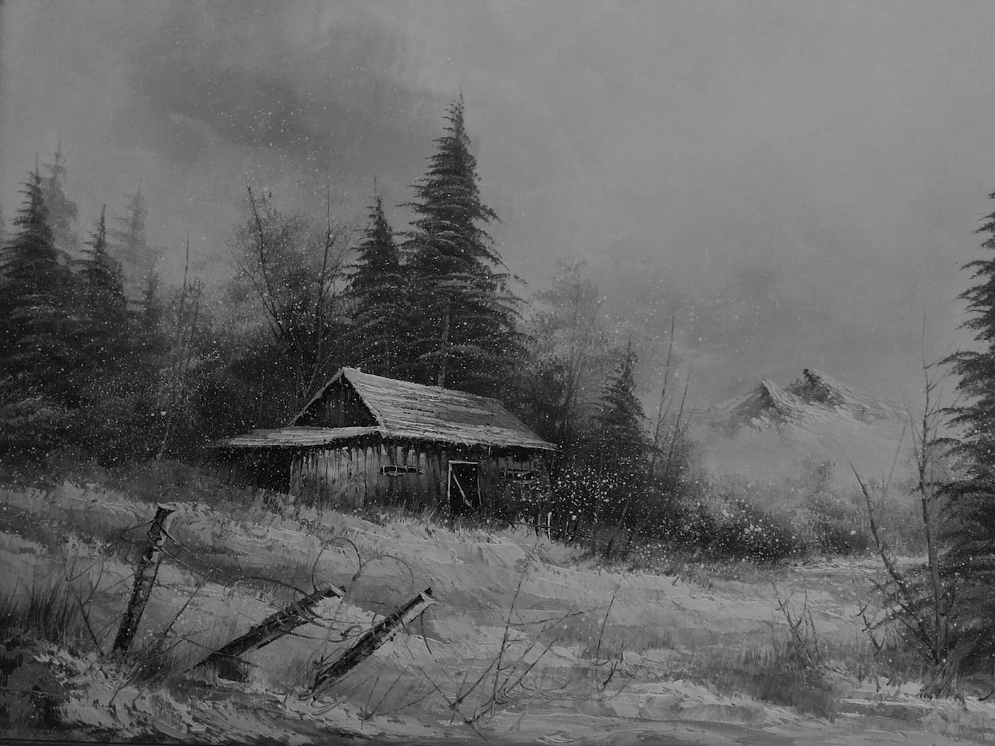 The Disappearance of Joseph Plummer