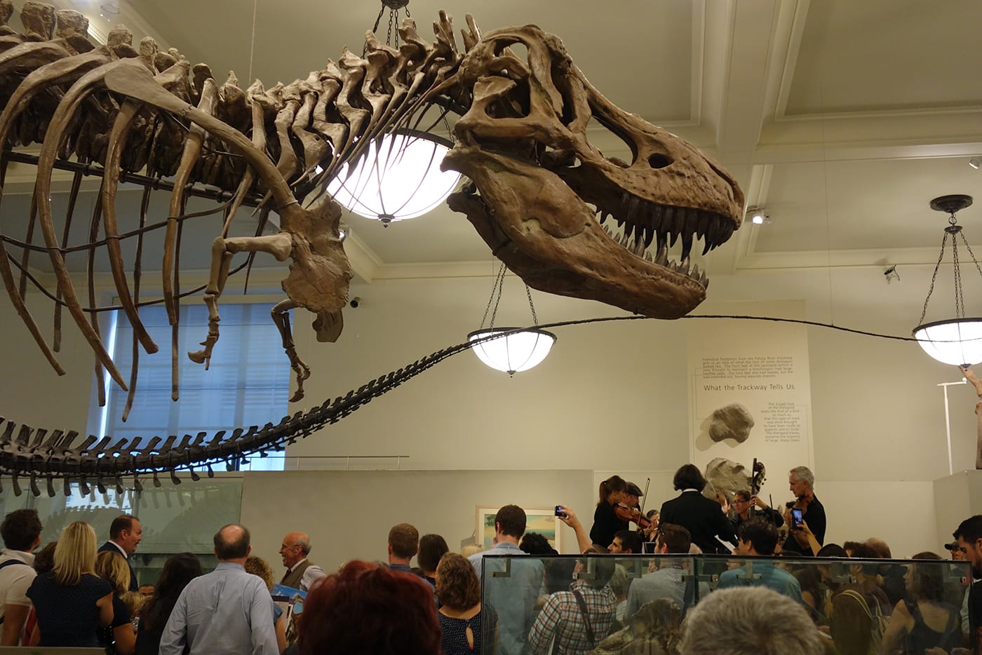 <em>Rhoda and the Fossil Hunt</em> in the Hall of Saurischian Dinosaurs at the American Museum of Natural History (photo by the author for Hyperallergic)