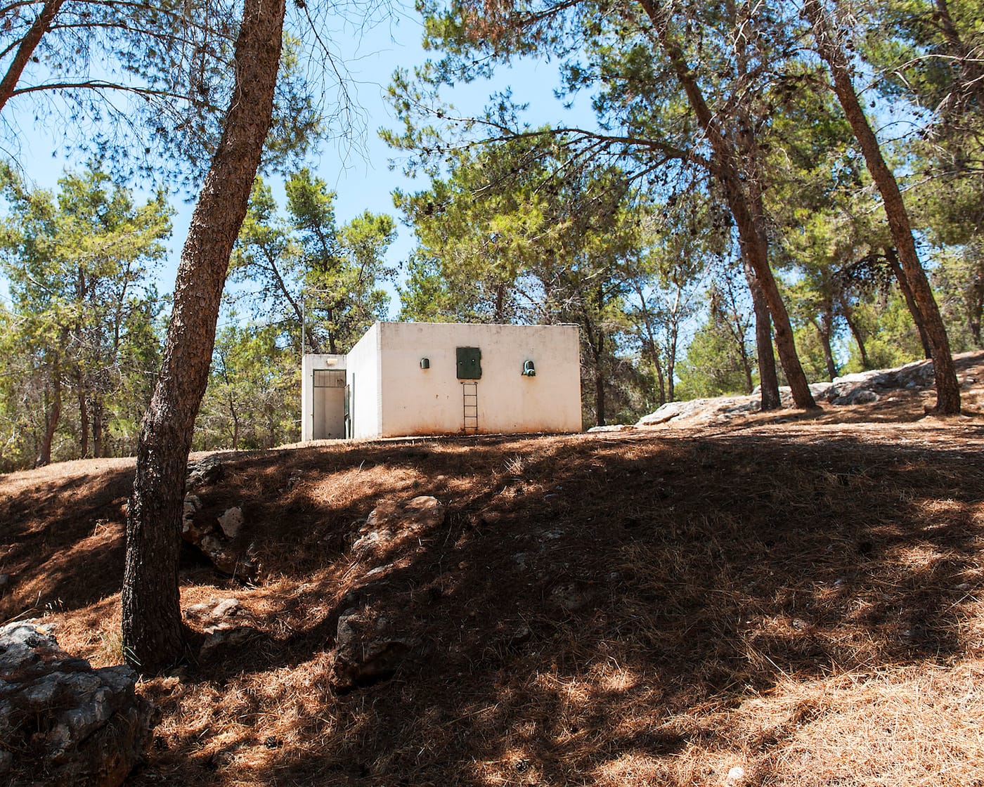 Adam Reynolds, "Shelter in the Woods" (courtesy the artist and Edition Lammerhuber)