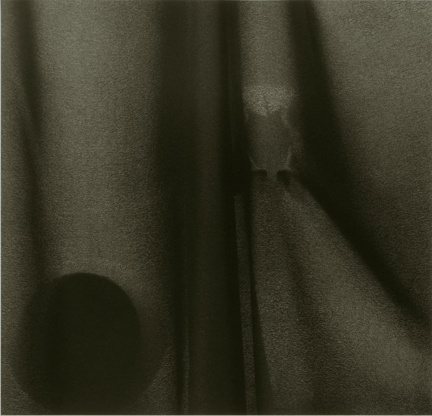 Lynn Stern, "BEYOND BONES #06-64" (2006-10), 34 x 35 inches, pigment print (© 2017 Lynn Stern)