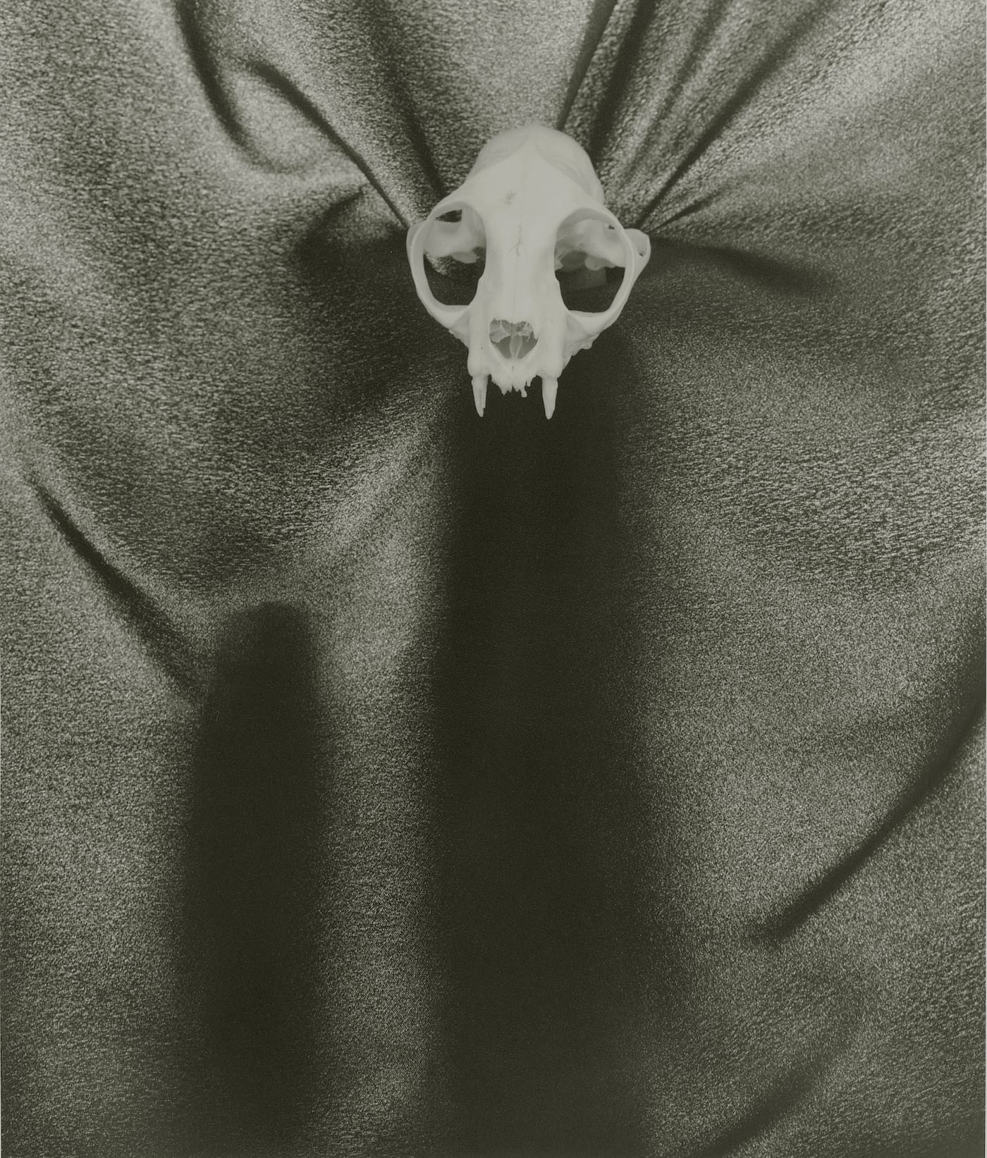 Lynn Stern, "(W)HOLES #02-34a" (2002-08), 24 x 20 inches, gelatin silver print (© 2017 Lynn Stern)