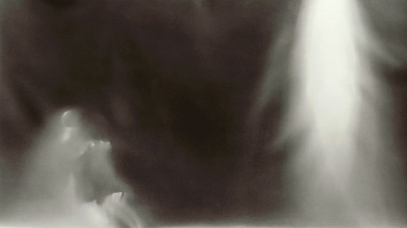 Lynn Stern, "ANIMUS #13a" (1995-98), 16 x 20 inches (© 2017 Lynn Stern)