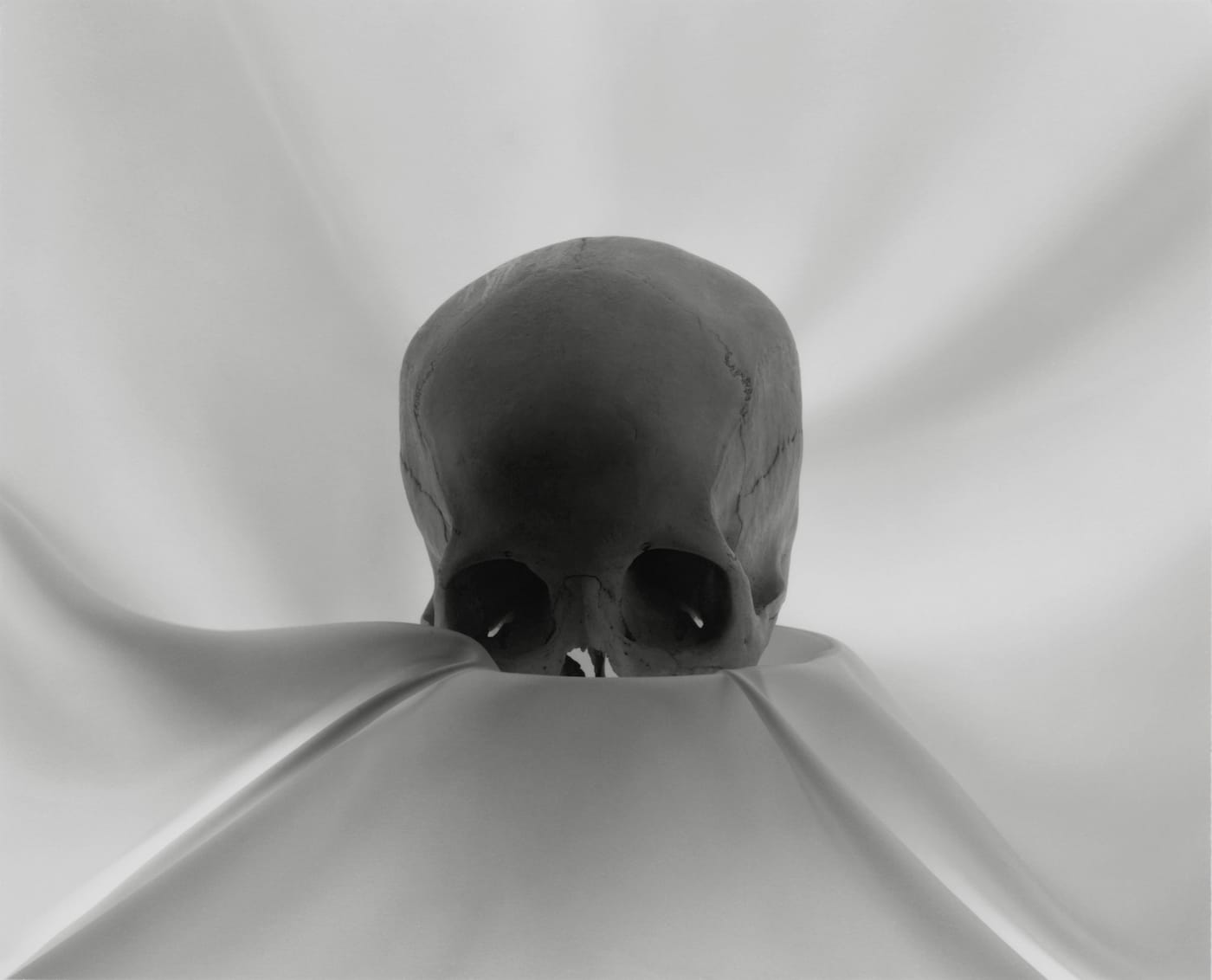 Lynn Stern, "SKULL #9" (1991), 16 x 20 inches, gelatin silver print (© 2017 Lynn Stern)