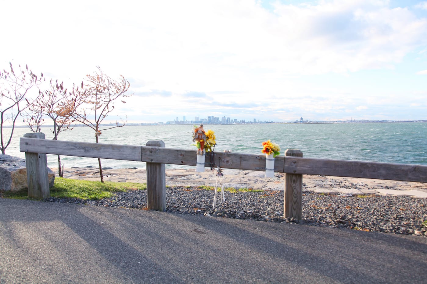 Mark Lamster, <em>The Island That Nobody Knows</em> (courtesy the artist)