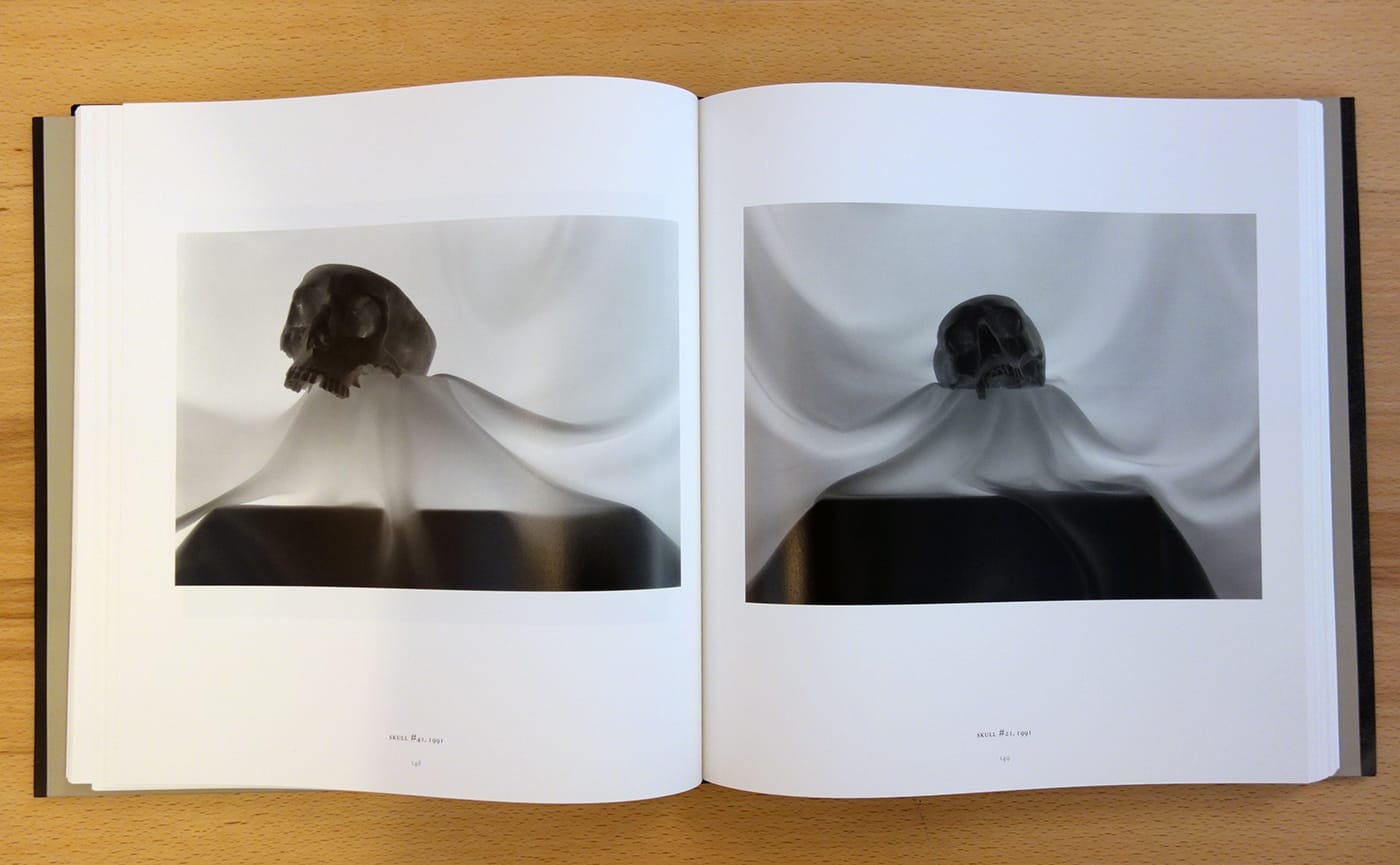 Pages from <em>Skull</em> by Lynn Stern (photo of the book for Hyperallergic)