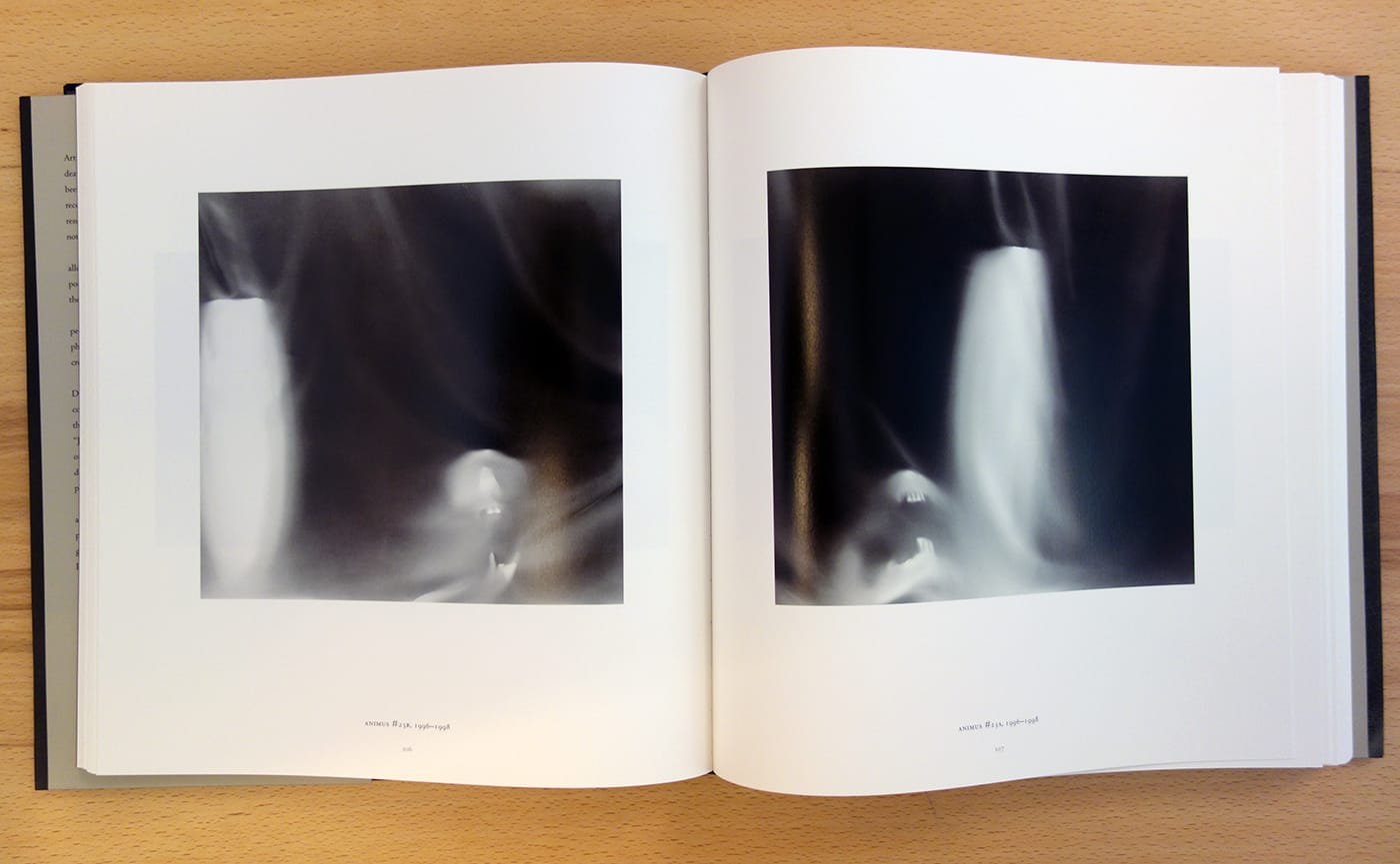 Pages from <em>Skull</em> by Lynn Stern (photo of the book for Hyperallergic)