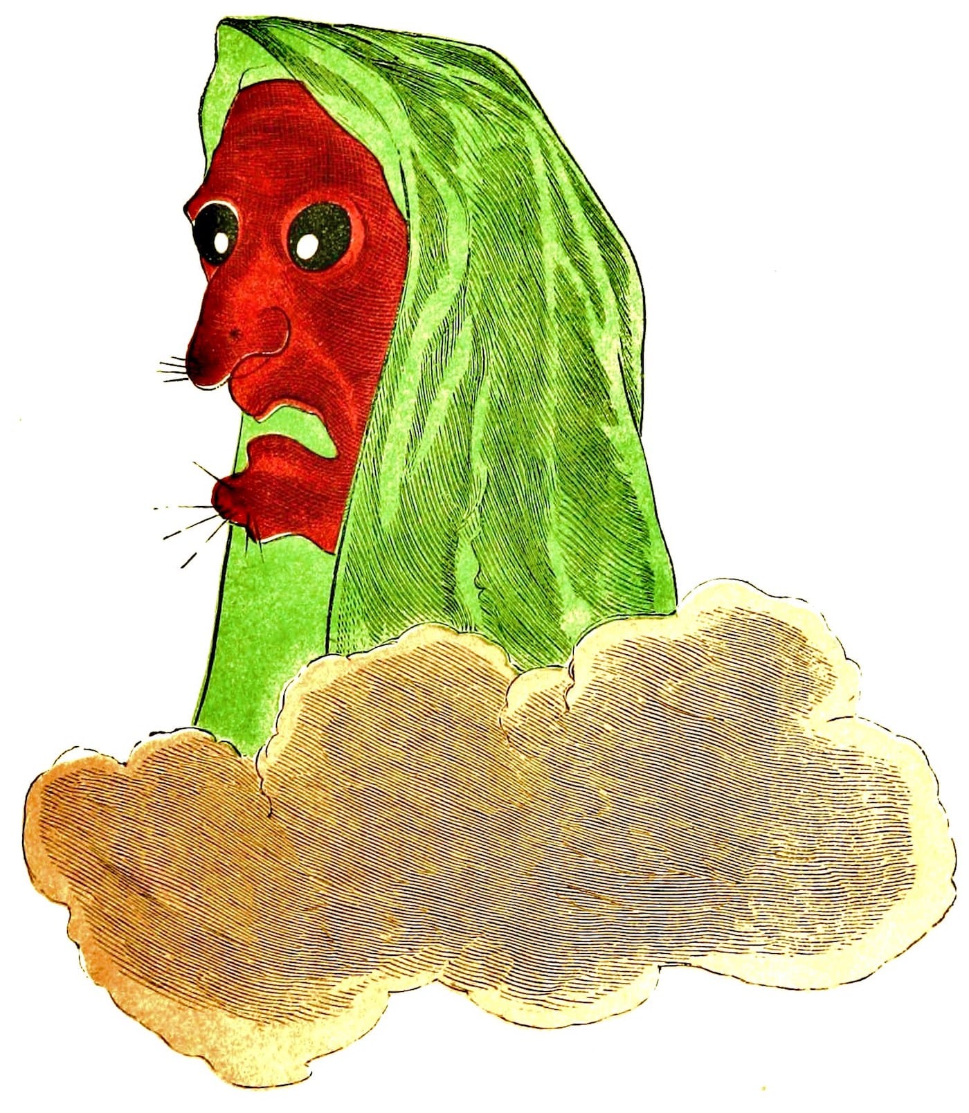 Illustration from Spectropia, or, surprising spectral illusions showing ghosts everywhere and of any colour by J. H. Brown (1864) (via Wikimedia)