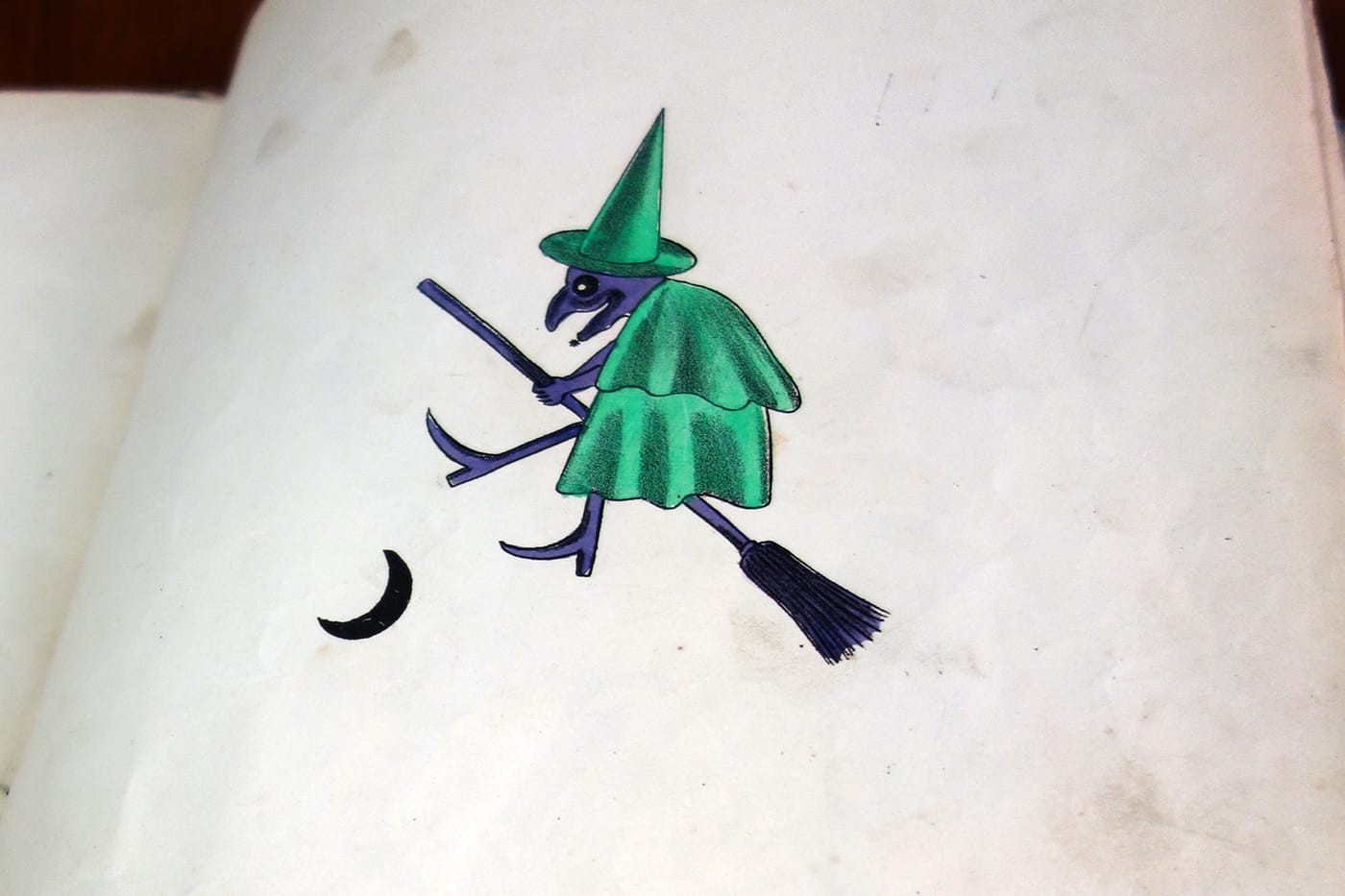 Pages from Spectropia, or, surprising spectral illusions showing ghosts everywhere and of any colour (photo of the book for Hyperallergic)