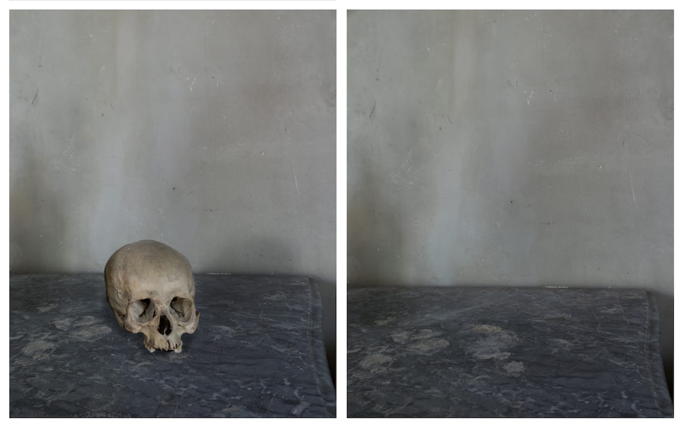 Joel Meyerowitz, "Skull" (2011), from <em>Cézanne's Objects</em> (courtesy the artist and Damiani)