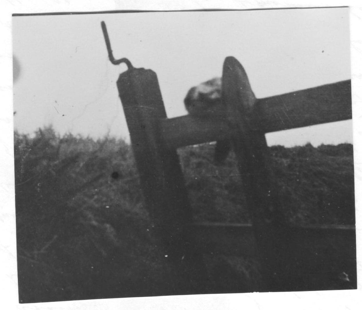 Alleged photograph of Gef, showing him "in distinctly cat-like form" (December 1935) from <em>Gef!: The Strange Tale of an Extra-special Talking Mongoose</em> (courtesy Strange Attractor)