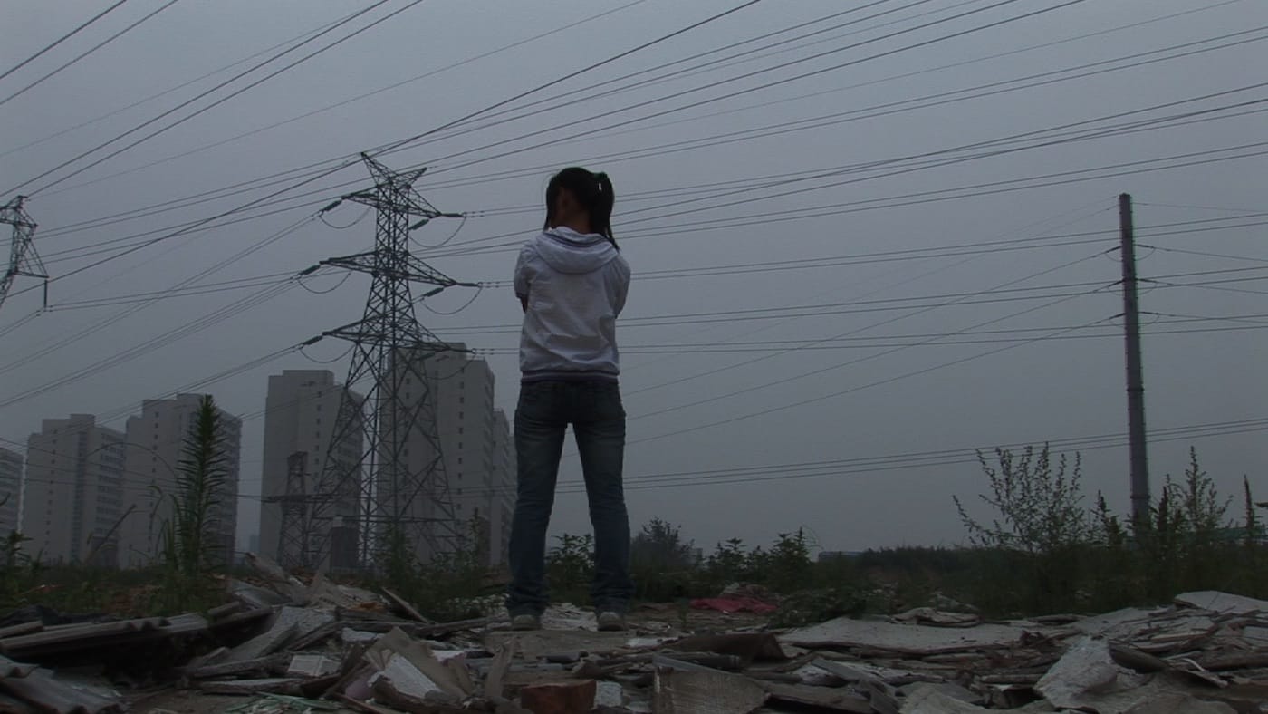 "When the Bough Breaks 危巢" (2013) (courtesy Ji Dan 季丹)