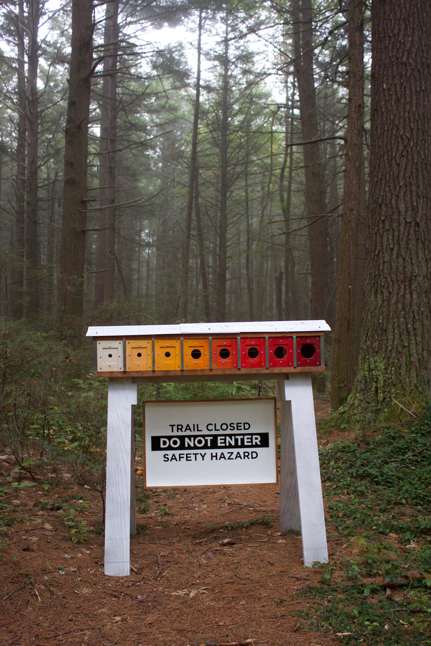 "Wayfinding Barrier, No. 2" (2017), installation at Harvard Forest, wood, acrylic paint, vinyl, hardware, aluminum tape, and recycled ant nests. Collaborators: David Buckley Borden, Jack Byers, Aaron Ellison, and Salua Rivero (courtesy David Buckley Borden)