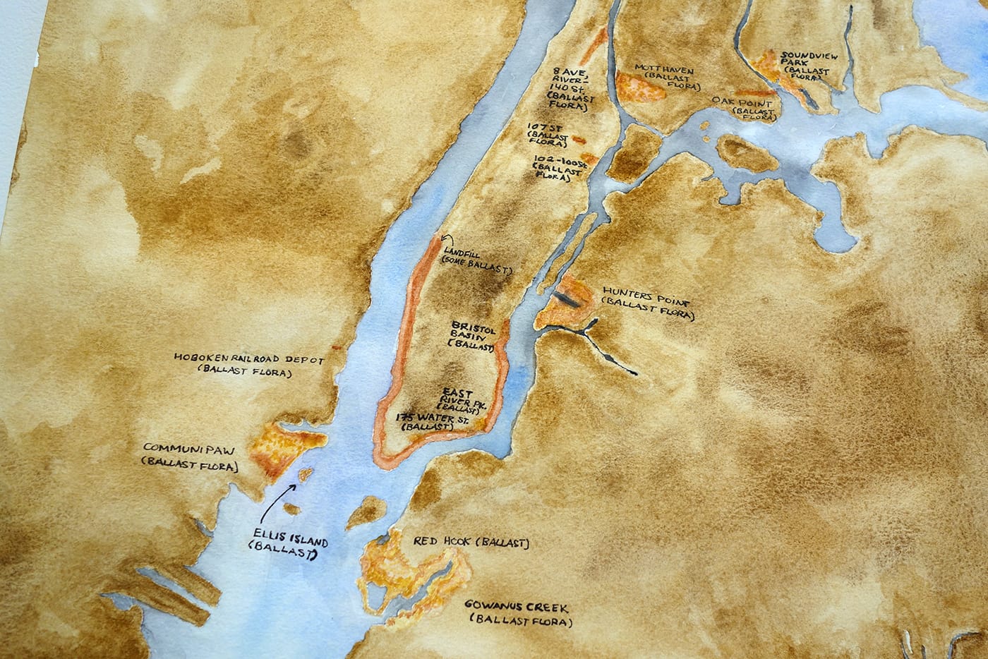 Installation view of <em>Maria Thereza Alves, Seeds of Change: New York—A Botany of Colonization</em> at the Arnold and Sheila Aronson Galleries, Sheila C. Johnson Design Center, Parsons School of Design (photo by the author for Hyperallergic)