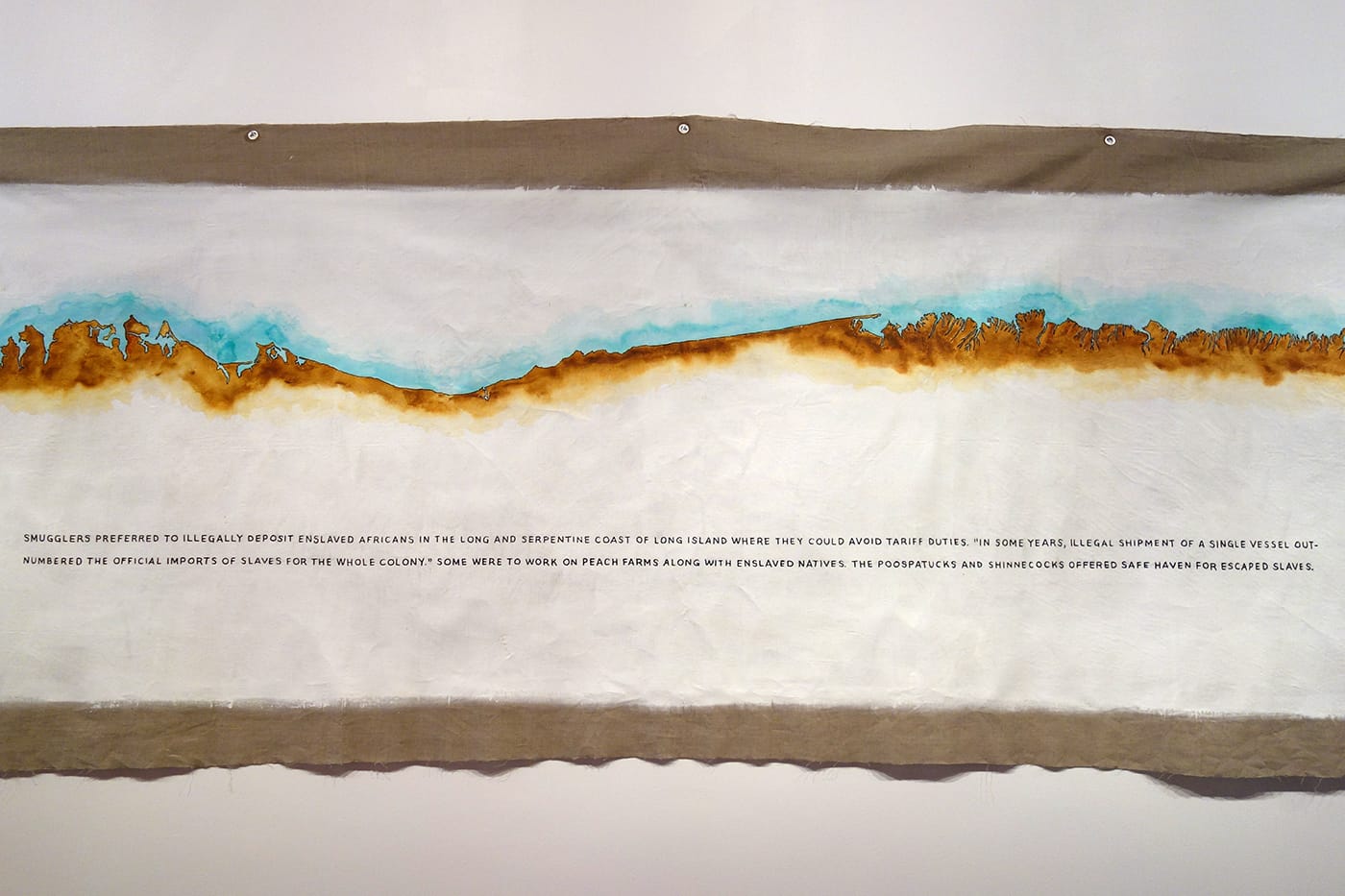 Installation view of <em>Maria Thereza Alves, Seeds of Change: New York—A Botany of Colonization</em> at the Arnold and Sheila Aronson Galleries, Sheila C. Johnson Design Center, Parsons School of Design (photo by the author for Hyperallergic)