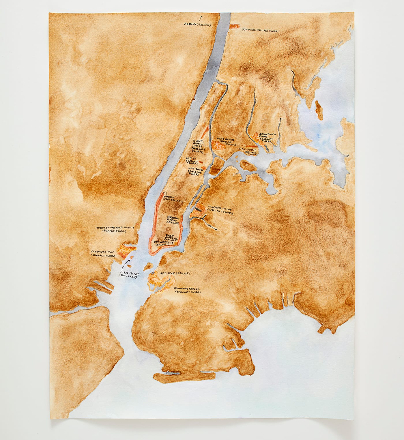 Installation view of <em>Maria Thereza Alves, Seeds of Change: New York — A Botany of Colonization</em> (courtesy Philip Van Nostrand)