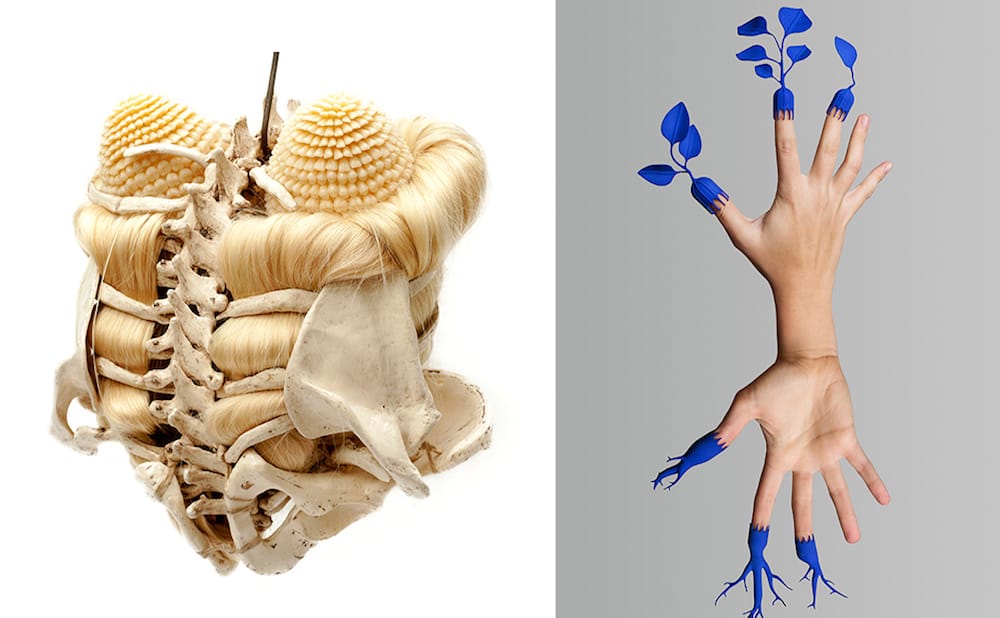 Pratt Manhattan Gallery Presents See Yourself E(x)ist, a Group Show on the Future of Humans and Nature