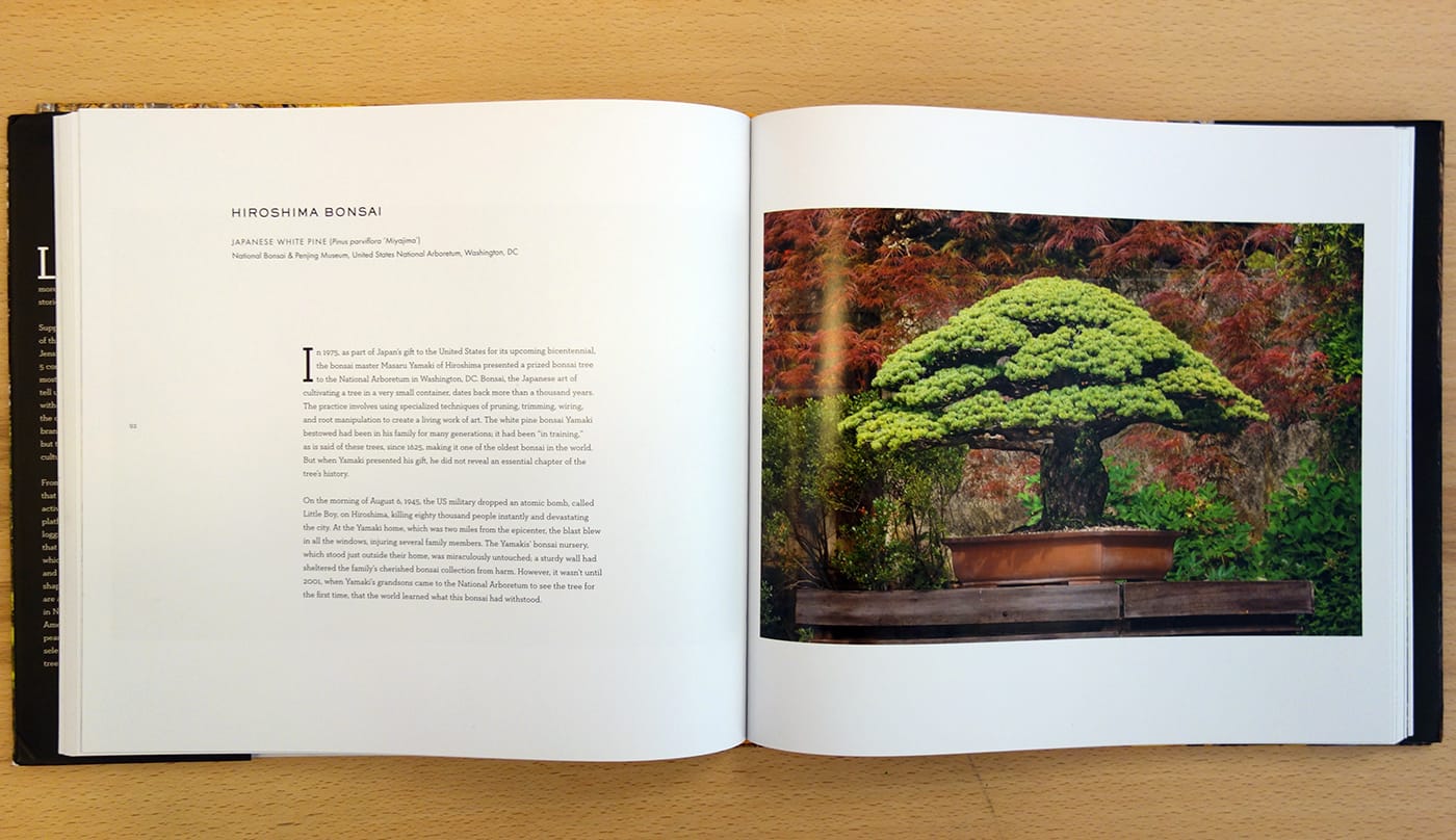 Pages from <em>Wise Trees </em> (photo of the book for Hyperallergic)