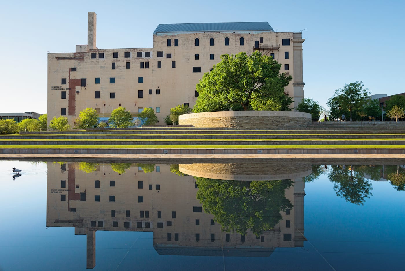 "Oklahoma City Survivor Tree": American Elm (Ulmus americana), Oklahoma City National Memorial, Oklahoma City, Oklahoma (© Diane Cook and Len Jenshel)