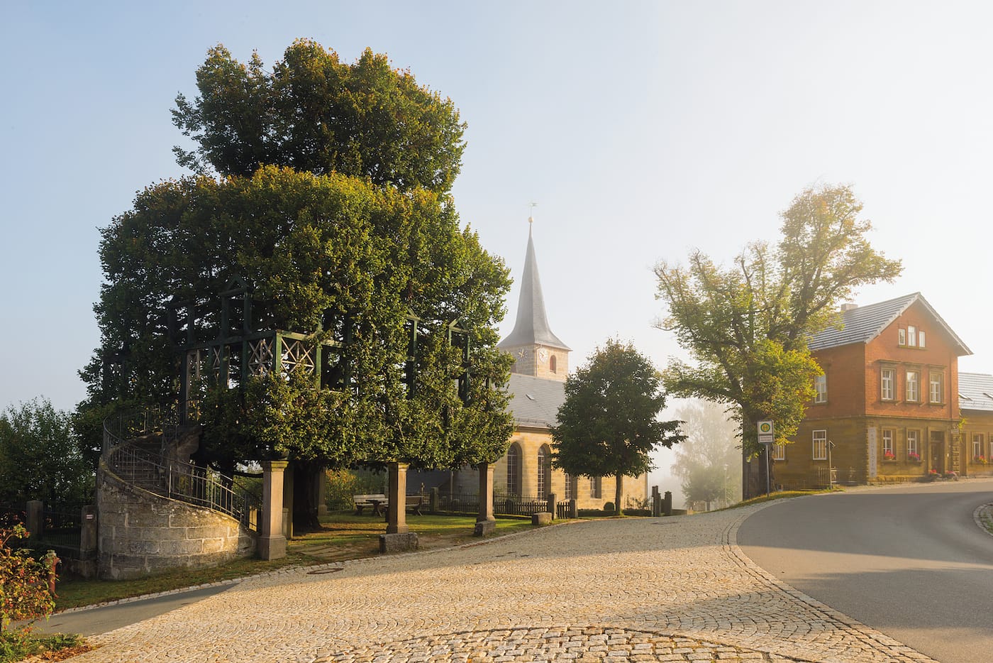 "Tanzlinde": Linden (Tilia platyphyllos), Peesten, Bavaria, Germany (© Diane Cook and Len Jenshel)